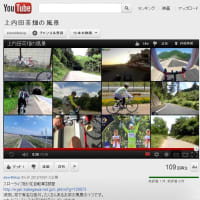 自転車で巡る掛川界隈の風景の動画