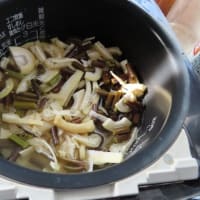 従妹が山菜を送ってくれたﾍ(^o^)/