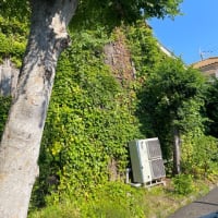 海のある町