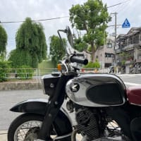えっ、もうサヨナラ！？