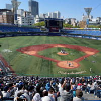 2024年神奈川県高校野球春季大会(42年ぶりの優勝)
