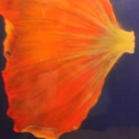 不思議な絵画