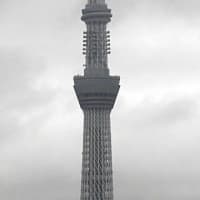 ２０２５／７／１５の朝の東京スカイツリー
