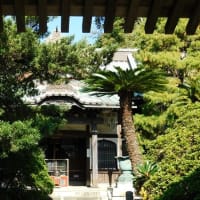 #8956 板東三番 祇園山 安養院