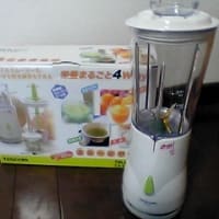 買ってしまいました