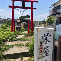 名物  冷やし蕎麦 in 栄屋