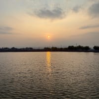 夕方散歩