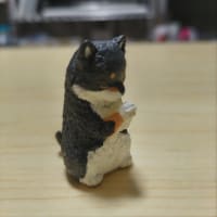 チェック甘い