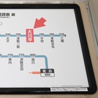 JR東日本 津軽線 大川平駅