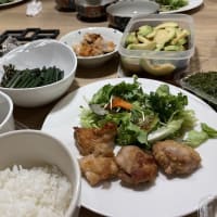 紫陽花咲きました！(≧▽≦)