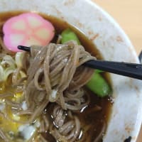 夏の釣行は山女魚一匹