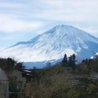 霊峰富士とメディア界：芸術ルネッサンスに向けて