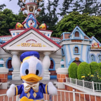 今日はランドー