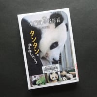 水曜日のお嬢様　タンタンのゆるゆるライフ（講談社）～二木繁美