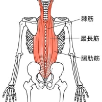 腰部のケアで腰痛解消！