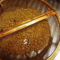 自家焙煎豆購入18回目:エチオピアアリーチャG1ナチュラル、手網焙煎してみた。