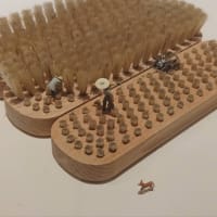 見る観る診る視る看る覧る