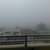 今朝はすっごい濃霧！(◎_◎;)