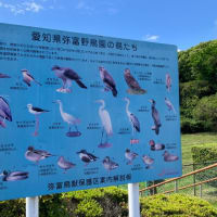 JP-1920 愛知県弥富野鳥園