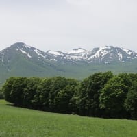 都合の良い言い訳