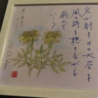 「バラエティに富んだ１週間」