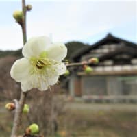 親バカならぬ、娘バカです