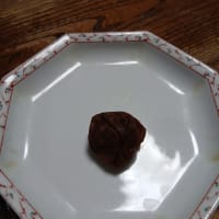 初女さんの梅干しに想う