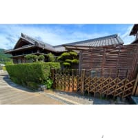 庭の剪定作業　　2025.6.1