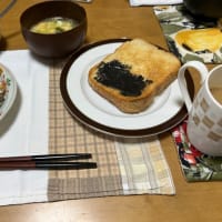 朝食とハイビスカス