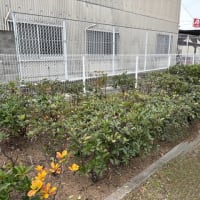 緑地管理