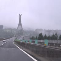 墓参へ