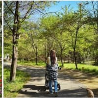 👑 インスタ、FBより(2025.4.22)