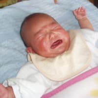 藍生 4ヶ月目です