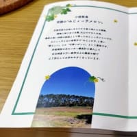 長崎の小値賀島のみじょっ子メロン
