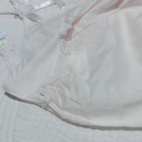 今夜更新新作速報☆彡