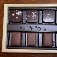 獺祭チョコレート