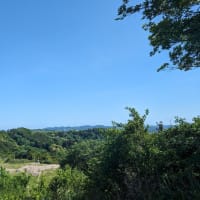 鎌倉トレイルラン（天園ハイキングコース）