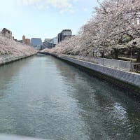 流行りもの