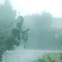2014豪雨