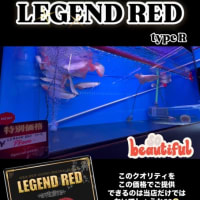 高品質！！当店オリジナルブランド✨LEGEND RED type R✨輸入完了‼️🇮🇩