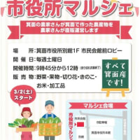 8月31日土曜日の市役所マルシェは中止です