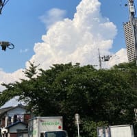 7～8月の風景