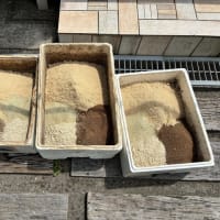 ぼかし肥料を作りました。