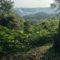 衣笠山公園