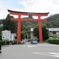 京都トレイル今度は西山コースの松尾山を歩きました　その4　2024年6月26日