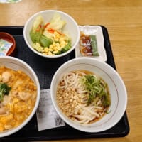 親子丼＆冷やしうどん