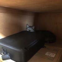 寅次郎日記　0119