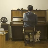 音楽は犬生に必要か？