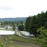 気分転換にドライブ