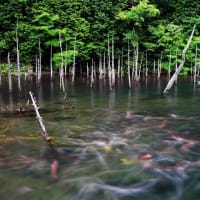 6月の第一火水曜の休日は～